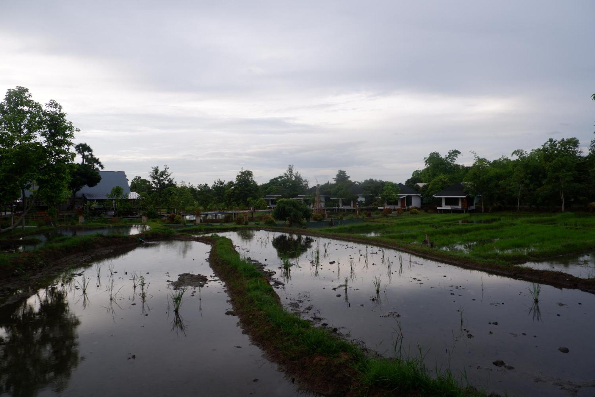 Nok Chan Mee Na Chom Thong Exteriér fotografie